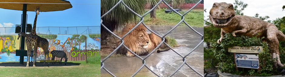 Faruk Yalçın Zoo Hayvanat Bahçesi Fırsatı