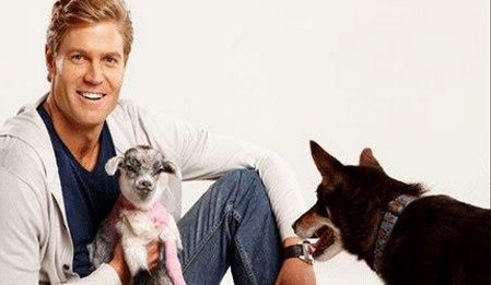 Bondi Veterineri - Bondi Vet izle