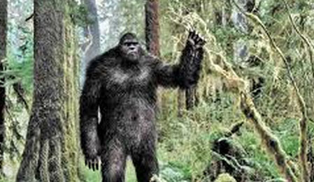 Bigfoot'un Peşinde - Finding Bigfoot  izle