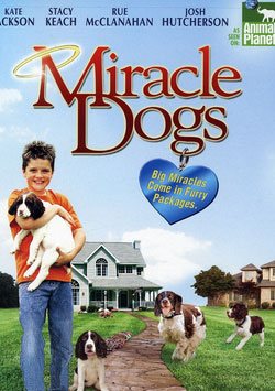 digiturk sinema, Mucize Köpekler - Miracle Dogs