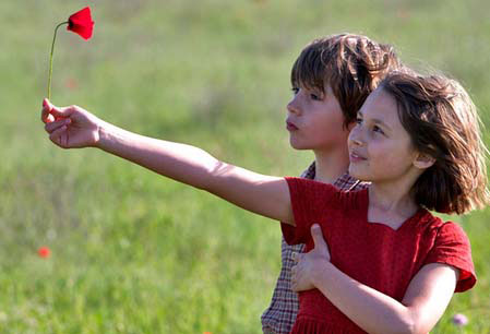 Büyülü Krallık - The Field of Enchantment izle