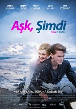 moviemax festival hd, Aşk, Şimdi - Now is Good