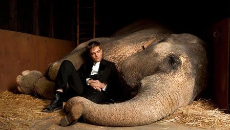 Aşkın Büyüsü - Water For Elephants izle