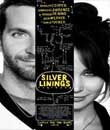 digitürk, Umut Işığım - Silver Linings Playbook