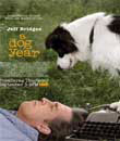 premier hd kanalı, Bir Köpek Yılı - A Dog Year